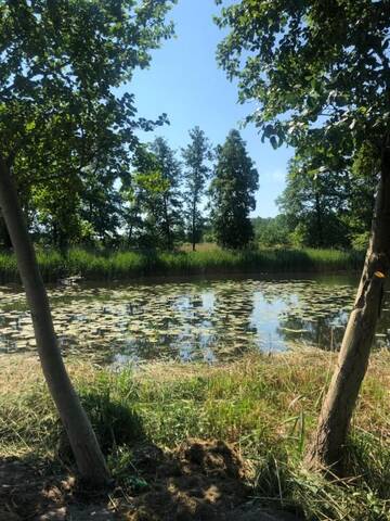 Фото номера Передвижной дом Кемпинги MIĘDZY NAMI domki nad jeziorem г. Колчево 30